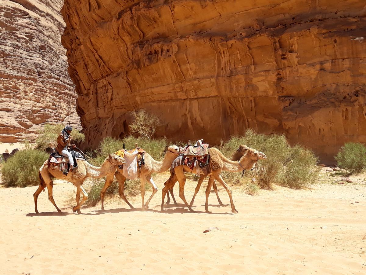 Martian Desert Camp Wadi Rum Ngoại thất bức ảnh
