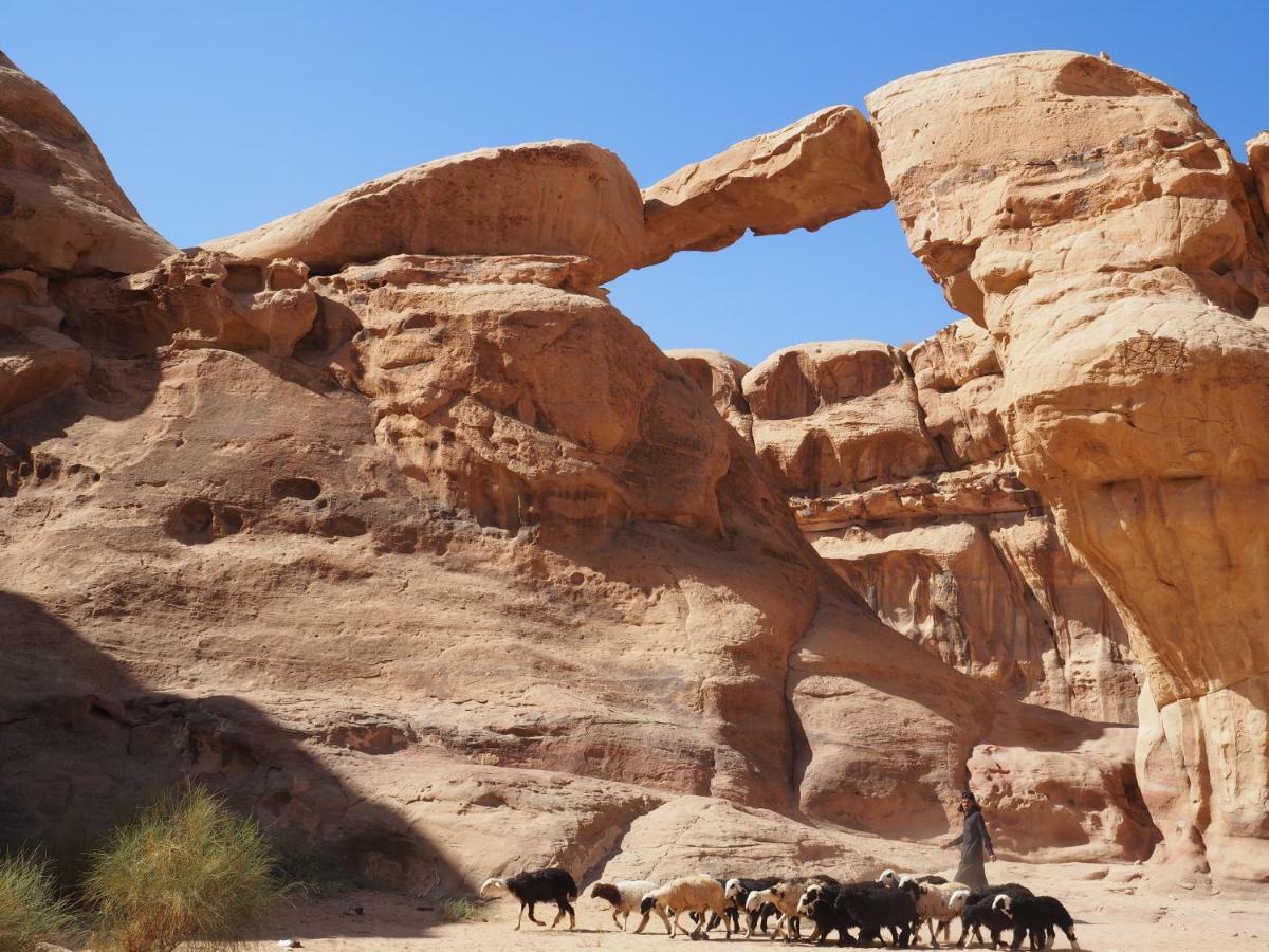 Martian Desert Camp Wadi Rum Ngoại thất bức ảnh